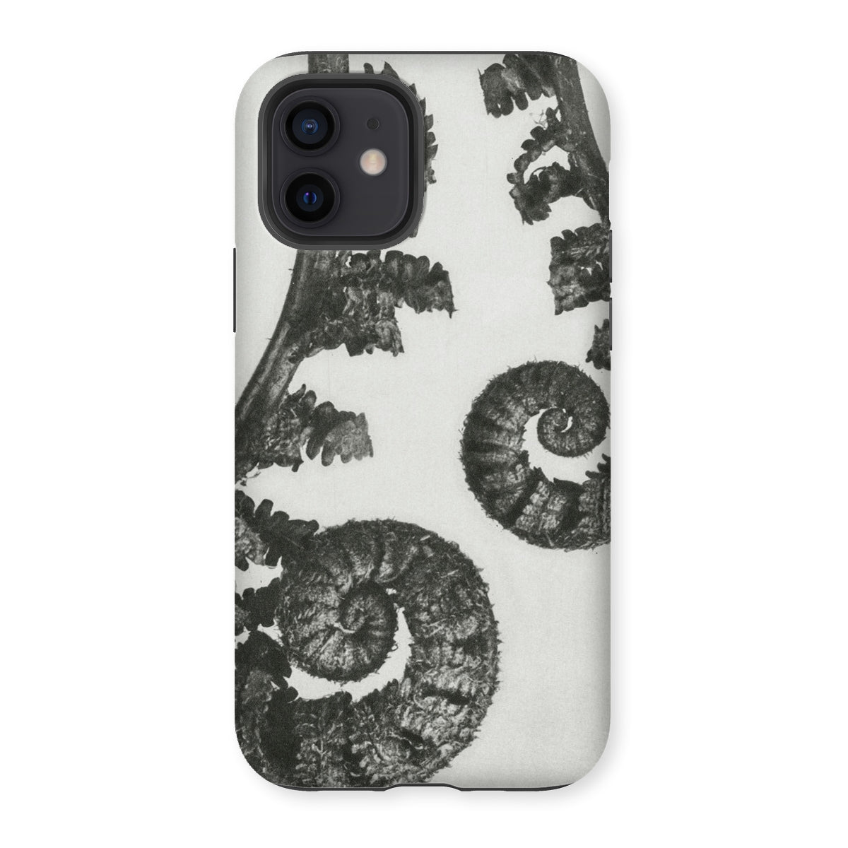 Aspidium Filix Mas (shield Fern Fronds) by Karl Blossfeldt Iphone Case, 12 / Matte, Fern-patterned Phone Case