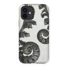 Aspidium Filix Mas (shield Fern Fronds) by Karl Blossfeldt Iphone Case, 12 / Matte, Fern-patterned Phone Case