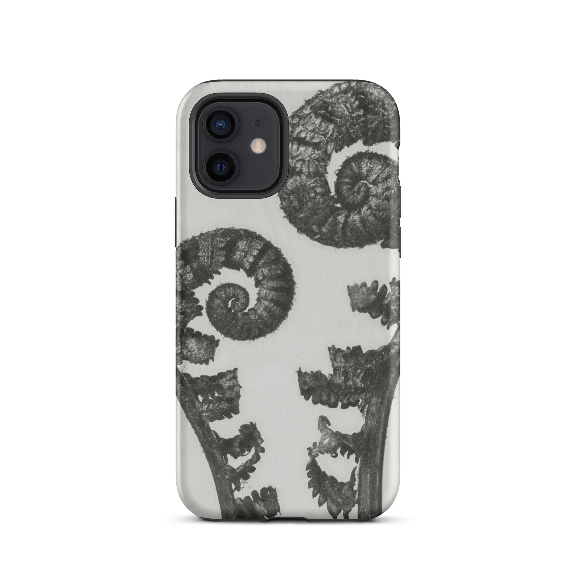 Aspidium Filix Mas (shield Fern Fronds) Karl Blossfeldt Iphone Case, 12 / Matte, Fern Patterned Phone Case