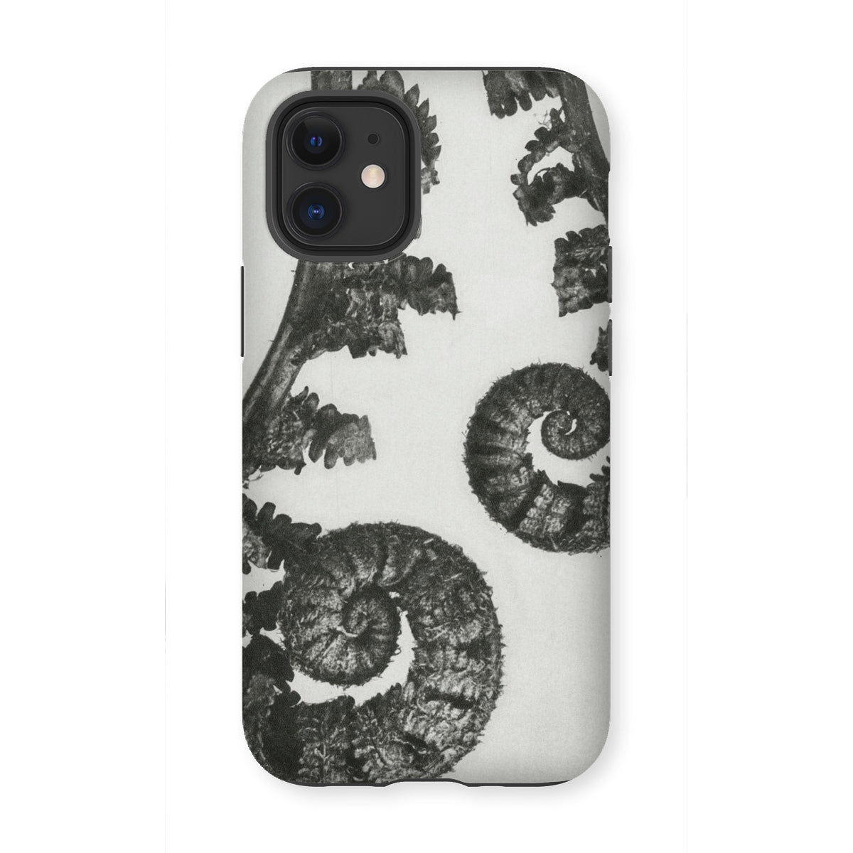 Aspidium Filix Mas (shield Fern Fronds) by Karl Blossfeldt Iphone Case, 12 Mini / Matte, Fern-patterned Phone Case
