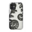 Aspidium Filix Mas (shield Fern Fronds) by Karl Blossfeldt Iphone Case, 12 Mini / Matte, Fern-patterned Phone Case