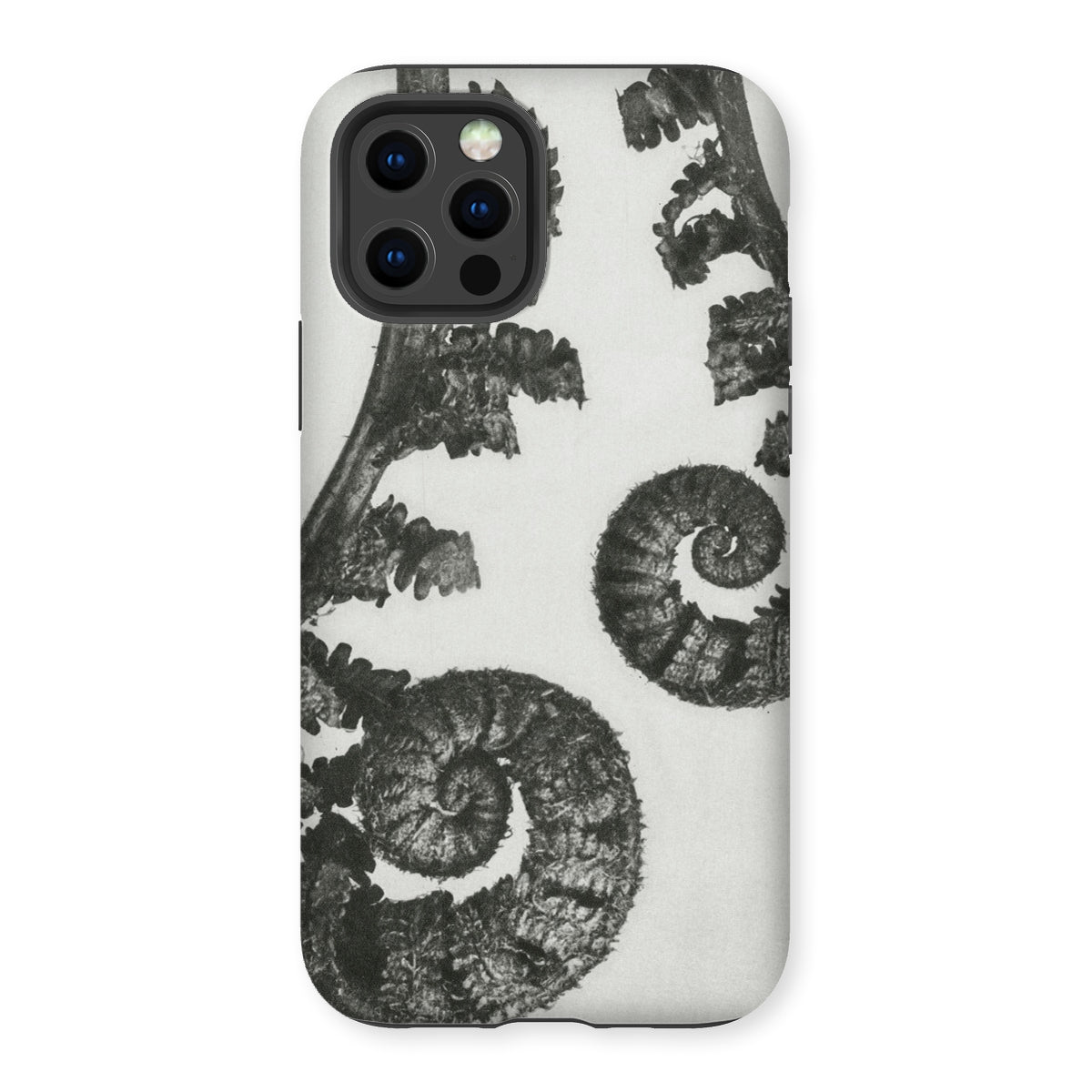 Aspidium Filix Mas (shield Fern Fronds) by Karl Blossfeldt Iphone Case, 12 Pro / Matte, Fern-patterned Phone Case