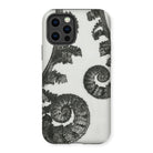 Aspidium Filix Mas (shield Fern Fronds) by Karl Blossfeldt Iphone Case, 12 Pro / Matte, Fern-patterned Phone Case
