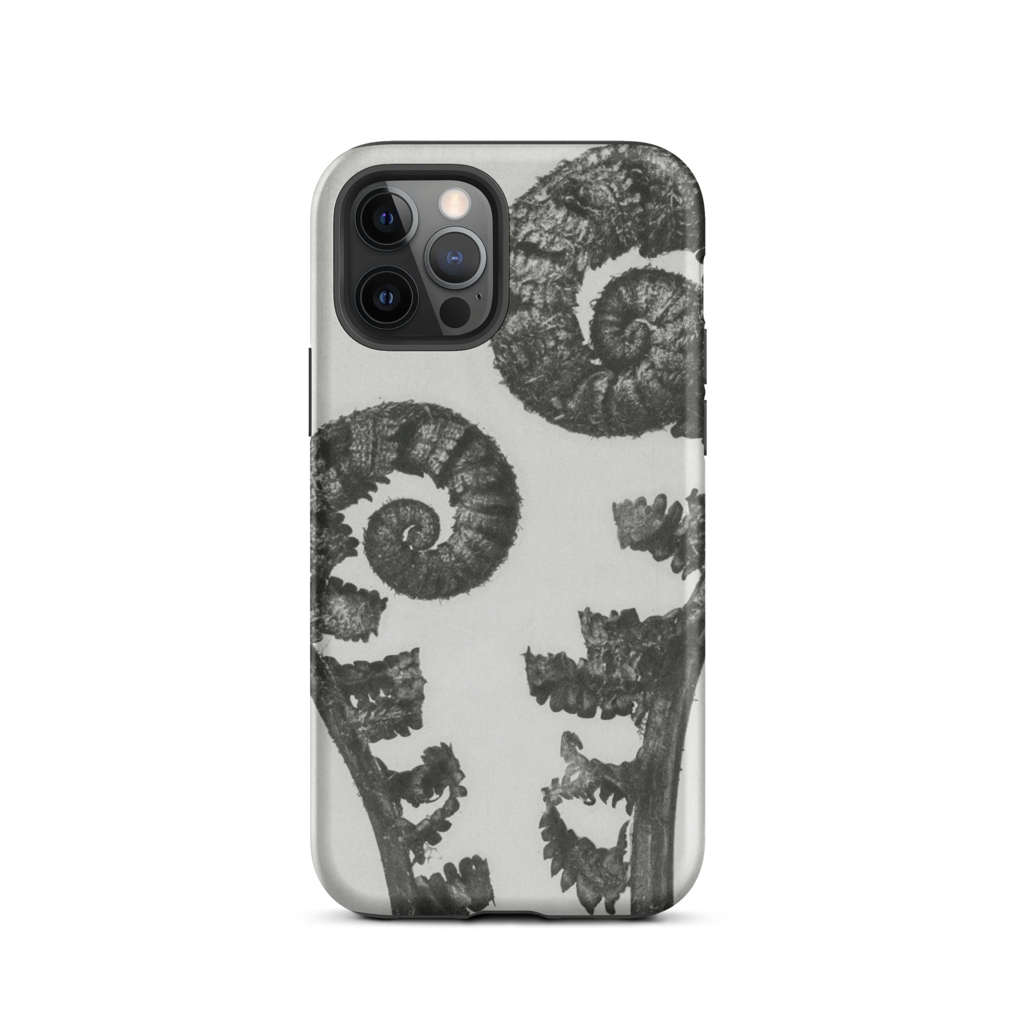 Aspidium Filix Mas (shield Fern Fronds) Karl Blossfeldt Iphone Case, 12 Pro / Matte, Fern Patterned Phone Case