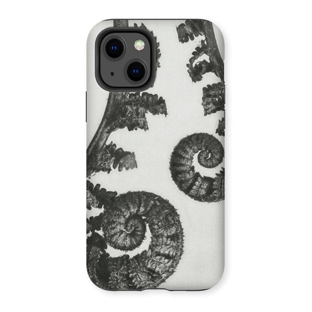 Aspidium Filix Mas (shield Fern Fronds) by Karl Blossfeldt Iphone Case, 13 / Matte, Fern Frond Phone Case