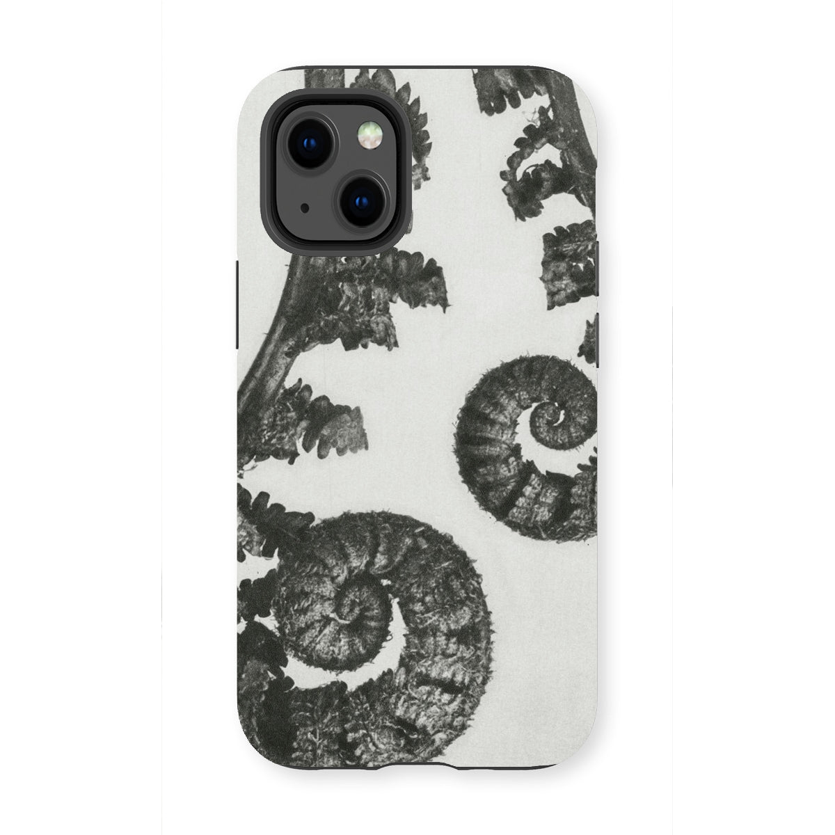 Aspidium Filix Mas (shield Fern Fronds) by Karl Blossfeldt Iphone Case, 13 Mini / Matte, Fern Frond Phone Case
