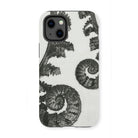 Aspidium Filix Mas (shield Fern Fronds) by Karl Blossfeldt Iphone Case, 13 Mini / Matte, Fern Frond Phone Case