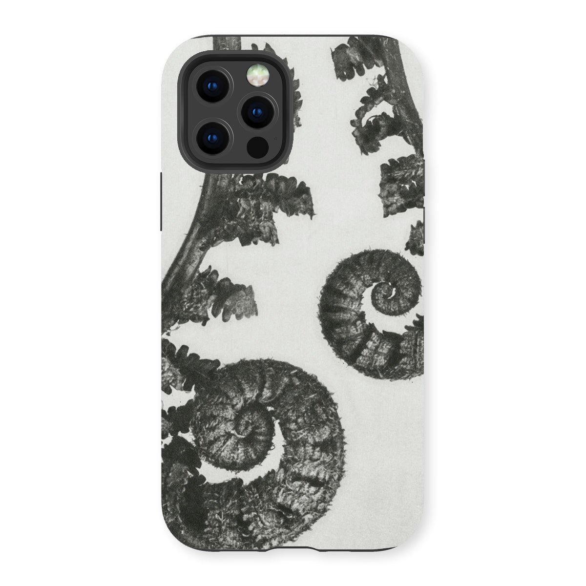 Aspidium Filix Mas (shield Fern Fronds) by Karl Blossfeldt Iphone Case, 13 Pro / Matte, Fern-patterned Phone Case