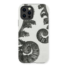Aspidium Filix Mas (shield Fern Fronds) by Karl Blossfeldt Iphone Case, 13 Pro / Matte, Fern-patterned Phone Case