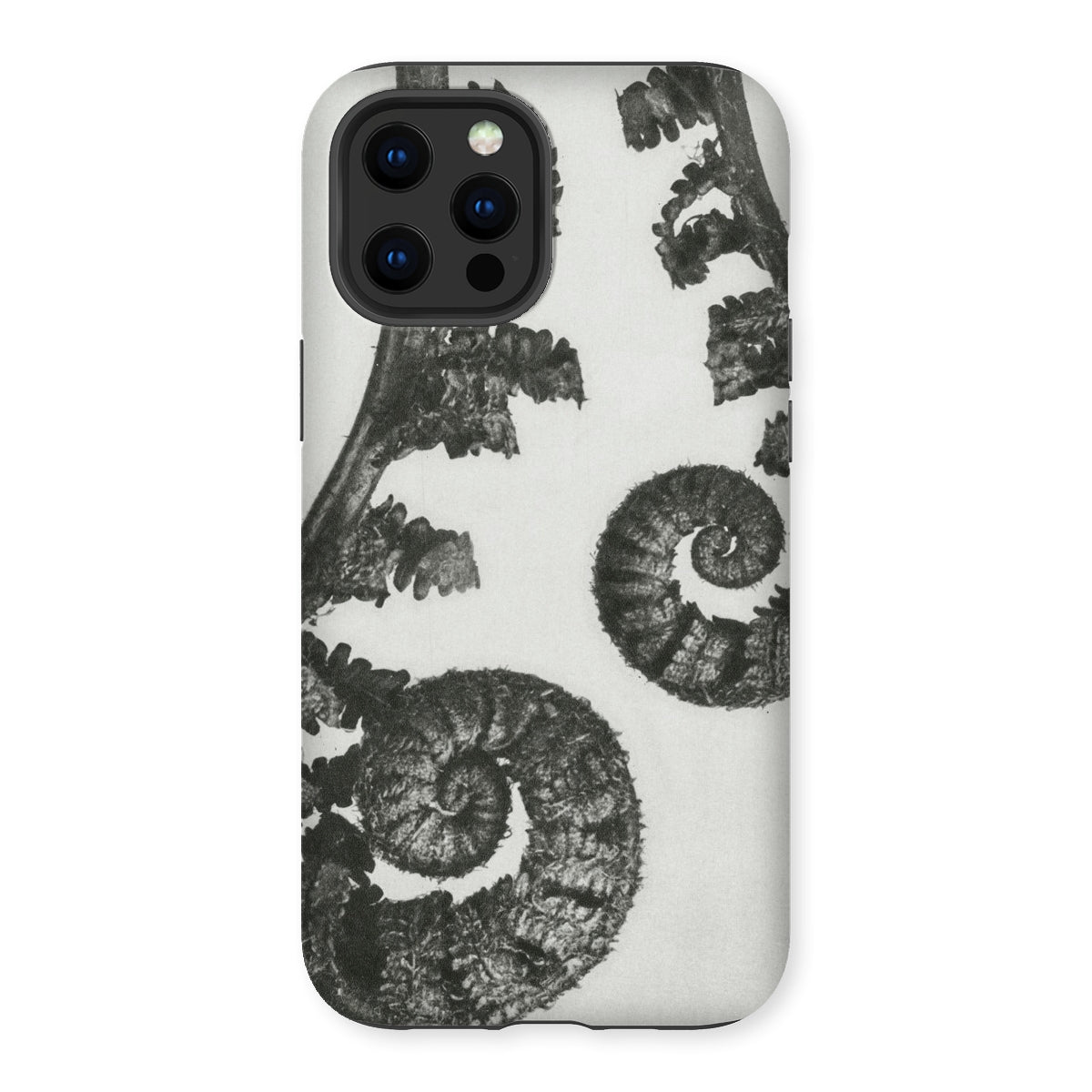 Aspidium Filix Mas (shield Fern Fronds) by Karl Blossfeldt Iphone Case, 13 Pro Max / Matte, Fern-patterned Phone Case