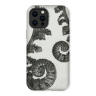 Aspidium Filix Mas (shield Fern Fronds) by Karl Blossfeldt Iphone Case, 13 Pro Max / Matte, Fern-patterned Phone Case