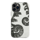 Aspidium Filix Mas (shield Fern Fronds) by Karl Blossfeldt Iphone Case, 14 Pro / Matte, Fern-patterned Phone Case