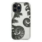 Aspidium Filix Mas (shield Fern Fronds) by Karl Blossfeldt Iphone Case, 14 Pro Max / Matte, Fern-patterned Phone Case