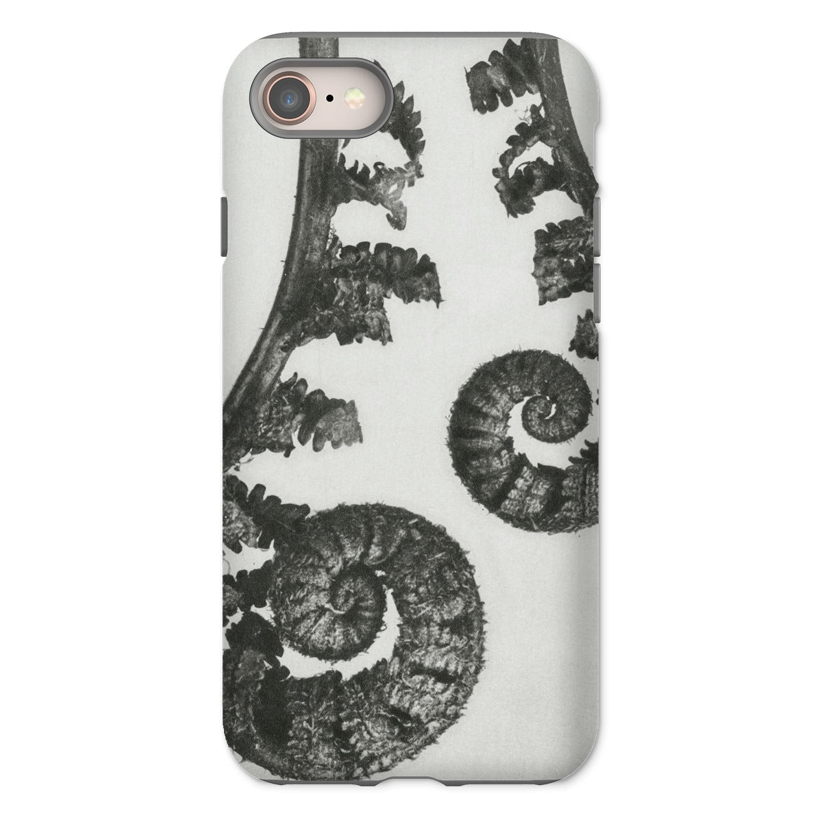 Aspidium Filix Mas (shield Fern Fronds) by Karl Blossfeldt Iphone Case, 8 / Matte, Fern-patterned Phone Case