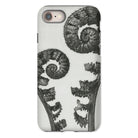 Aspidium Filix Mas (shield Fern Fronds) Karl Blossfeldt Iphone Case, 8 / Matte, Fern Patterned Phone Case