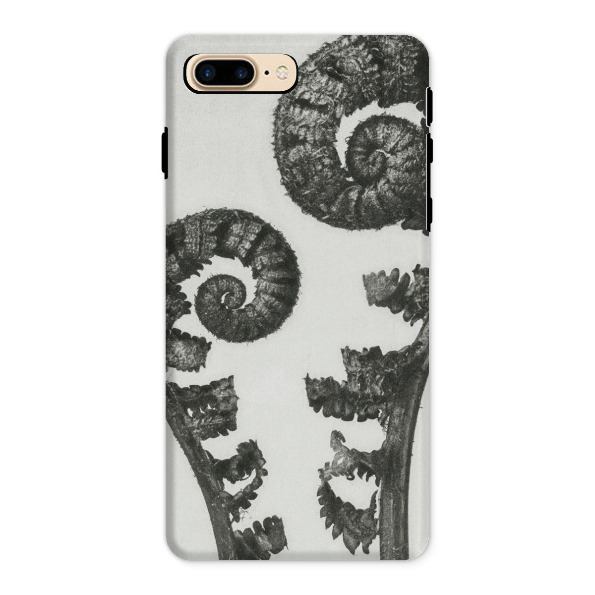 Aspidium Filix Mas (shield Fern Fronds) Karl Blossfeldt Iphone Case, 8 Plus / Matte, Fern Patterned Phone Case