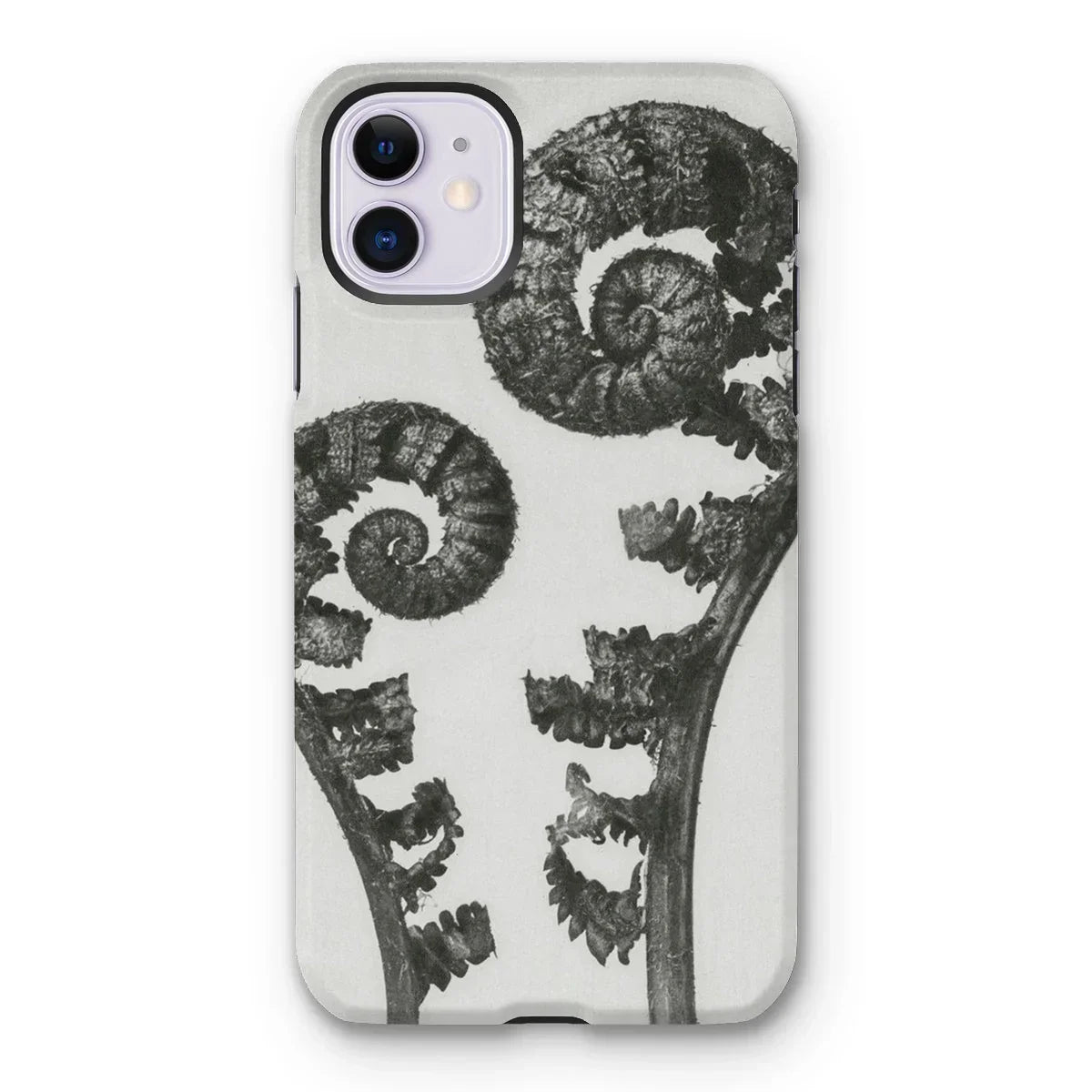 Aspidium Filix Mas (shield Fern Fronds) - Karl Blossfeldt Iphone Case - 11 / Matte