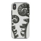 Aspidium Filix Mas (shield Fern Fronds) - Karl Blossfeldt Iphone Case Xs / Matte Mobile Phone Cases