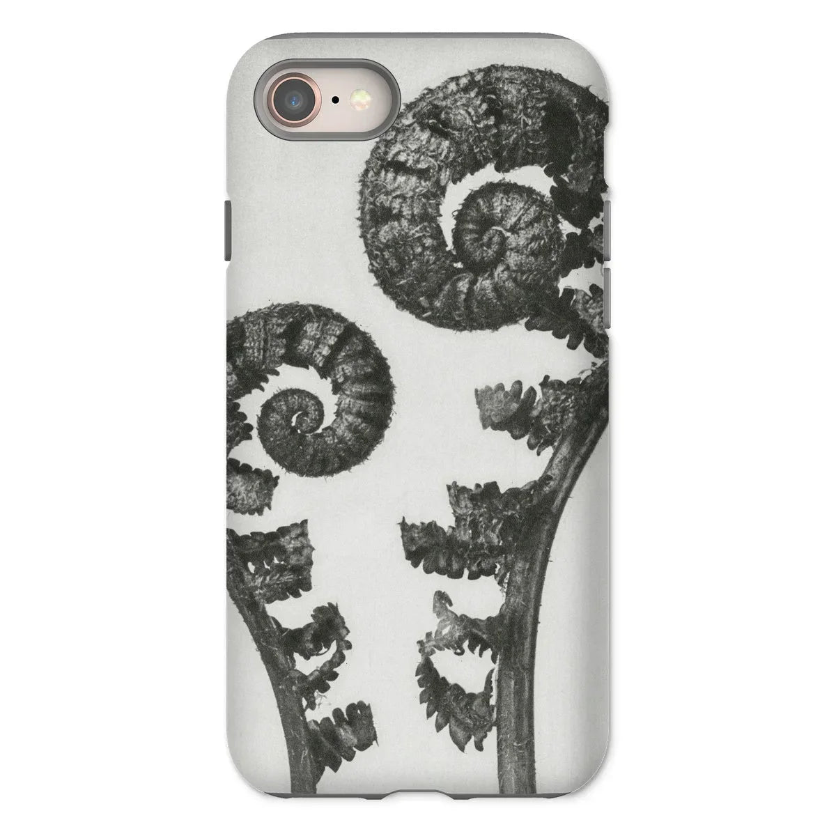 Aspidium Filix Mas (shield Fern Fronds) - Karl Blossfeldt Iphone Case - 8 / Matte