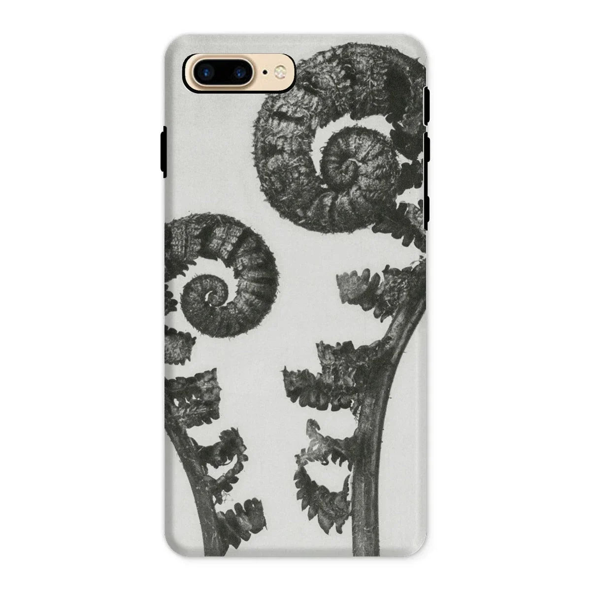 Aspidium Filix Mas (shield Fern Fronds) - Karl Blossfeldt Iphone Case - 8 Plus / Matte