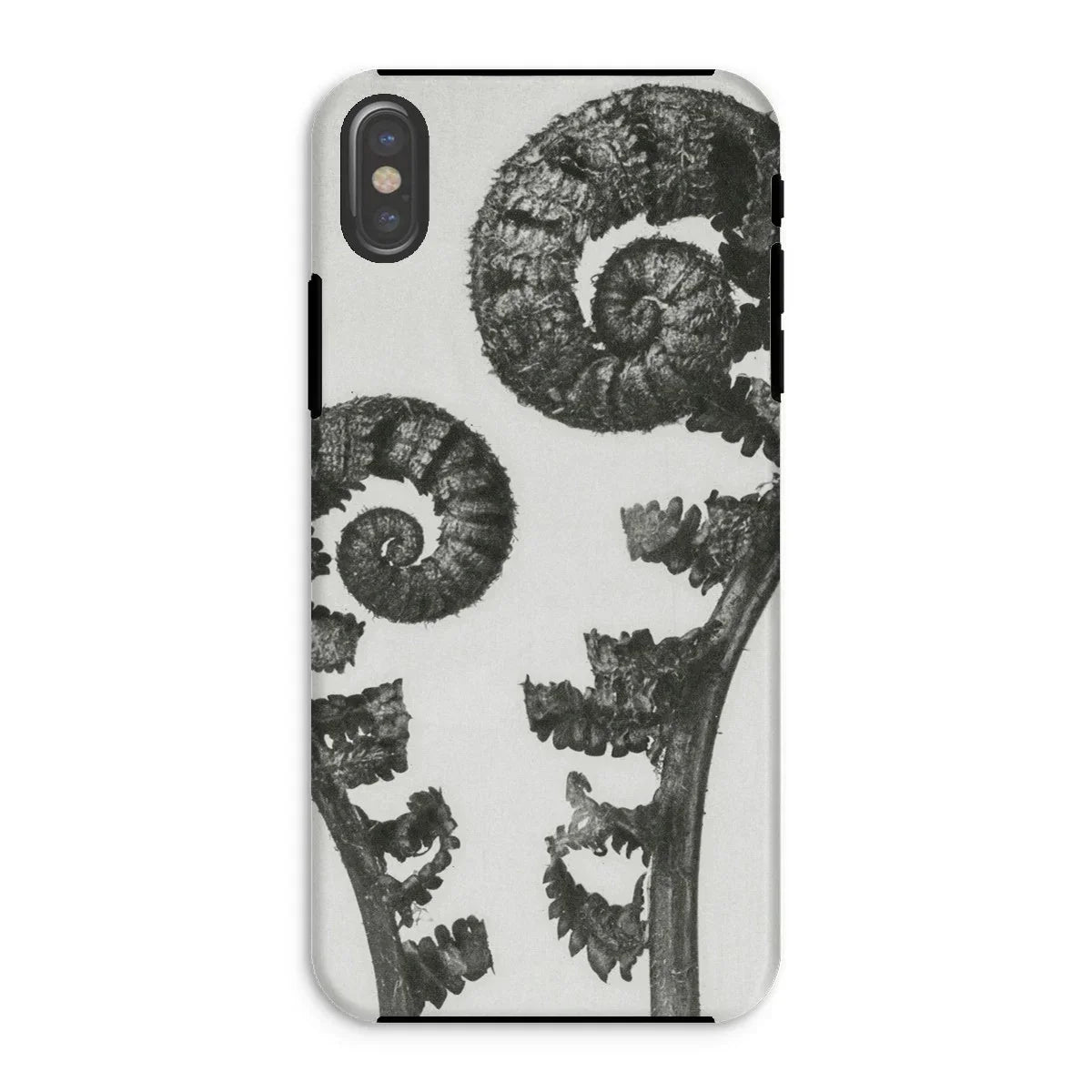 Aspidium Filix Mas (shield Fern Fronds) - Karl Blossfeldt Iphone Case - Xs / Matte