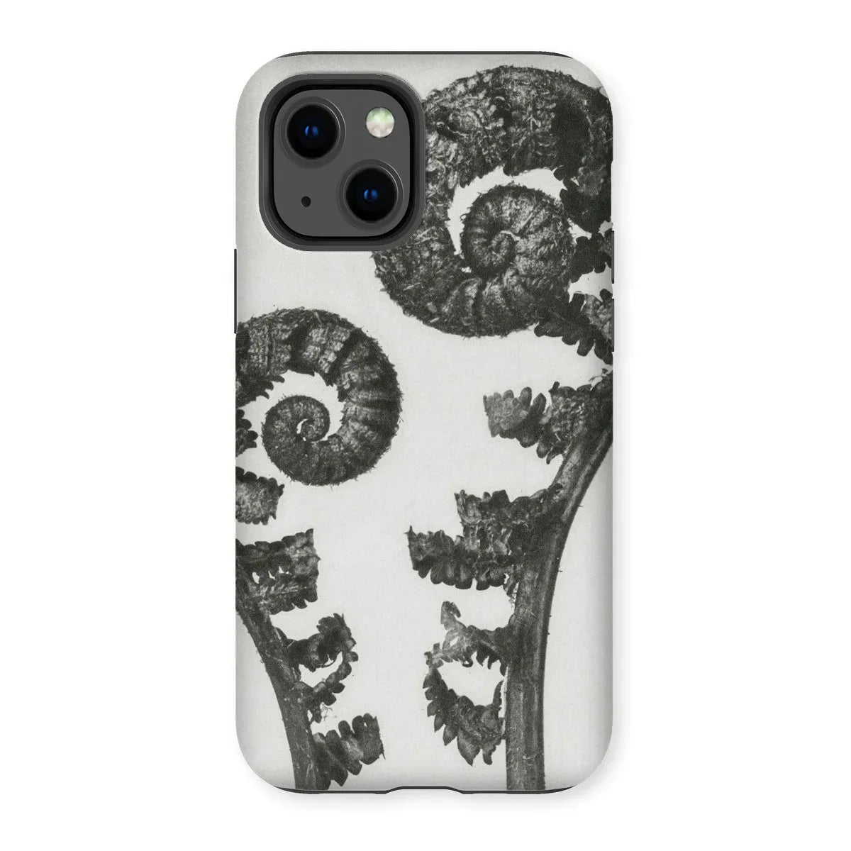 Aspidium Filix Mas (shield Fern Fronds) - Karl Blossfeldt Iphone Case - 13 / Matte