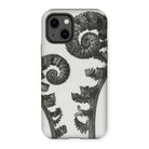 Aspidium Filix Mas (shield Fern Fronds) - Karl Blossfeldt Iphone Case - 13 / Matte