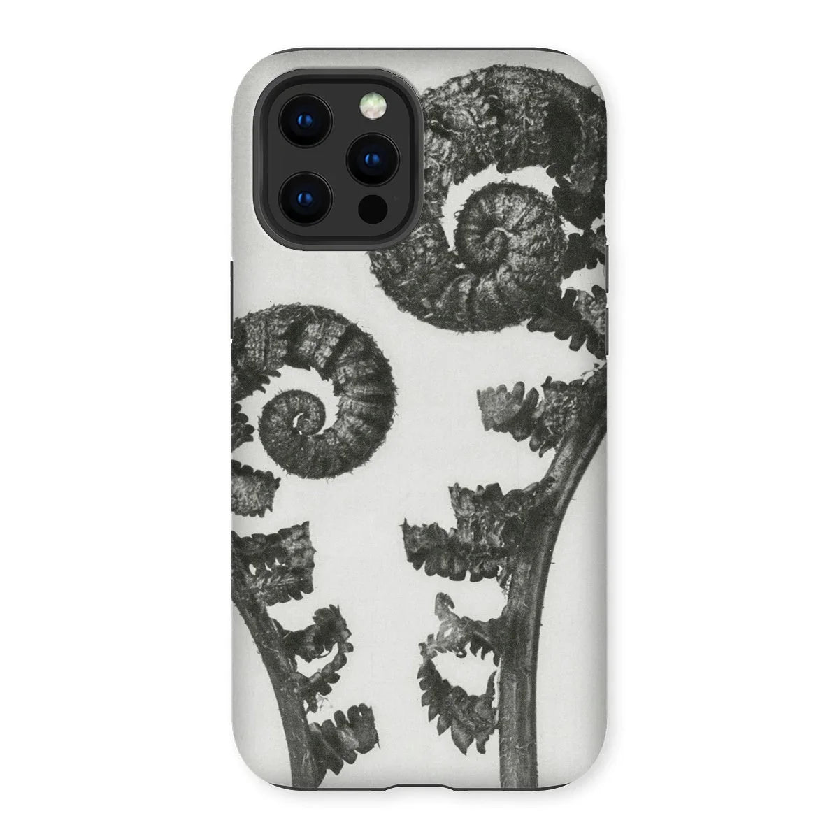 Aspidium Filix Mas (shield Fern Fronds) - Karl Blossfeldt Iphone Case 12 Pro Max / Matte Mobile Phone Cases