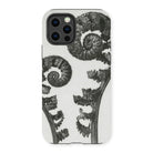 Aspidium Filix Mas (shield Fern Fronds) - Karl Blossfeldt Iphone Case - 13 Pro / Matte