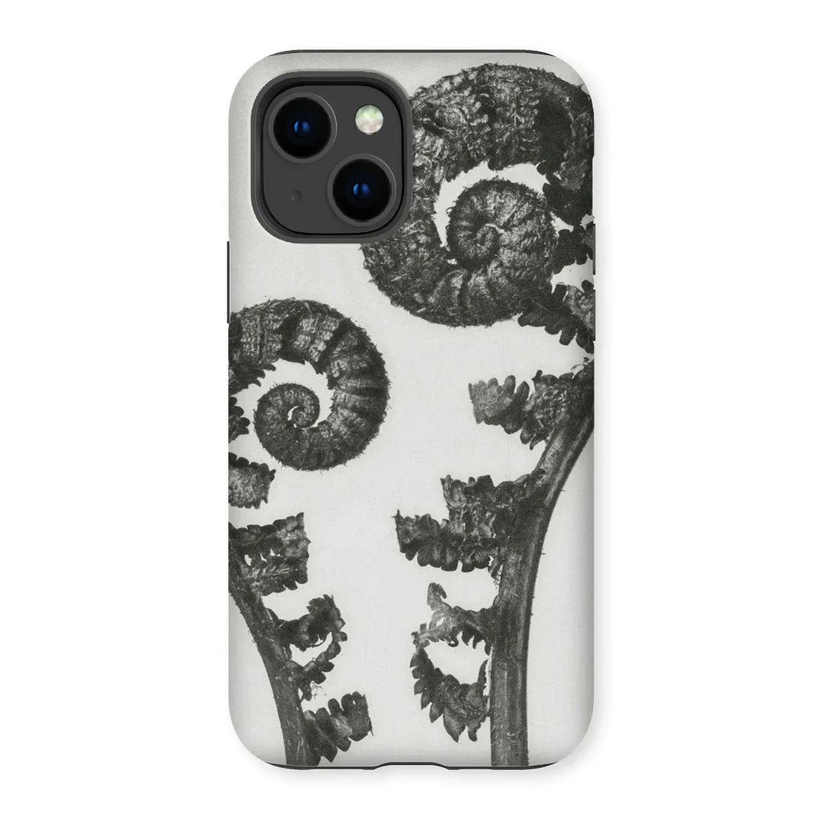 Aspidium Filix Mas (shield Fern Fronds) - Karl Blossfeldt Iphone Case - 14 / Matte