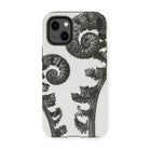 Aspidium Filix Mas (shield Fern Fronds) - Karl Blossfeldt Iphone Case - 13 Mini / Matte