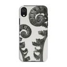 Aspidium Filix Mas (shield Fern Fronds) - Karl Blossfeldt Iphone Case - Xr / Matte