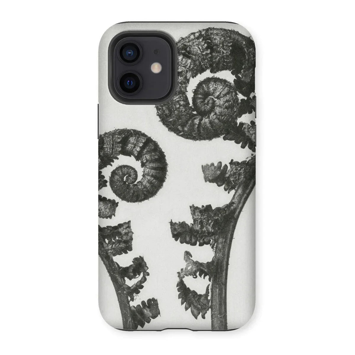 Aspidium Filix Mas (shield Fern Fronds) - Karl Blossfeldt Iphone Case - 12 / Matte