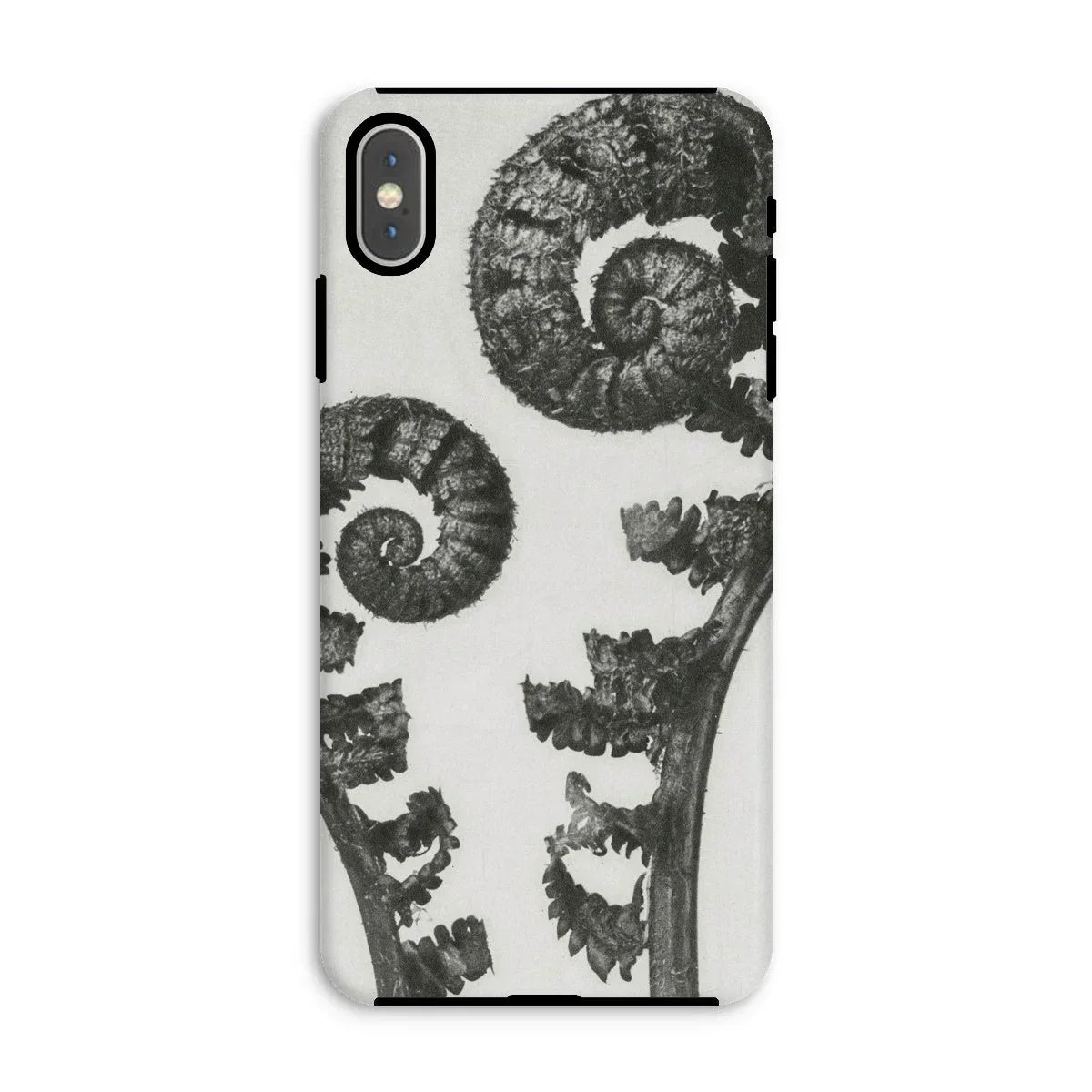 Aspidium Filix Mas (shield Fern Fronds) - Karl Blossfeldt Iphone Case - Xs Max / Matte