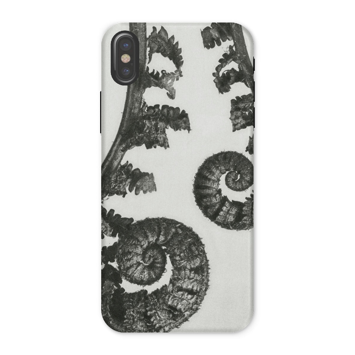 Aspidium Filix Mas (shield Fern Fronds) by Karl Blossfeldt Iphone Case, x / Matte, Fern-patterned Phone Case