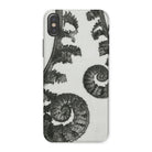 Aspidium Filix Mas (shield Fern Fronds) by Karl Blossfeldt Iphone Case, x / Matte, Fern-patterned Phone Case