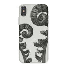 Aspidium Filix Mas (shield Fern Fronds) Karl Blossfeldt Iphone Case, x / Matte, Fern Patterned Phone Case