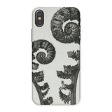 Aspidium Filix Mas (shield Fern Fronds) - Karl Blossfeldt Iphone Case, x / Matte, Fern-patterned Phone Case