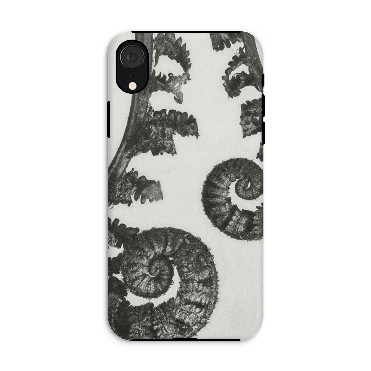Aspidium Filix Mas (shield Fern Fronds) by Karl Blossfeldt Iphone Case, Xr / Matte, Fern-patterned Phone Case