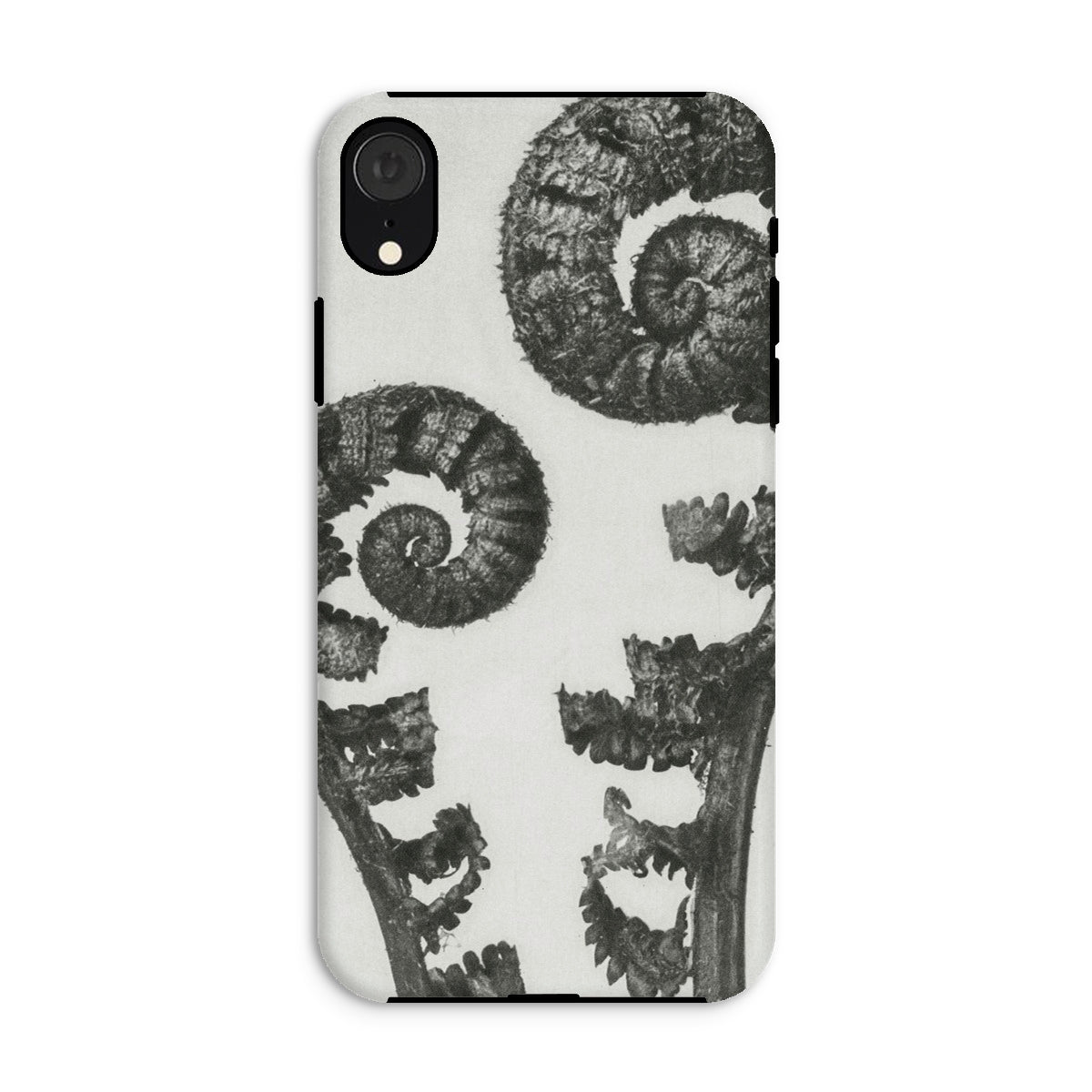 Aspidium Filix Mas (shield Fern Fronds) Karl Blossfeldt Iphone Case, Xr / Matte, Fern Patterned Phone Case