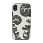 Aspidium Filix Mas (shield Fern Fronds) Karl Blossfeldt Iphone Case, Xr / Matte, Fern Patterned Phone Case