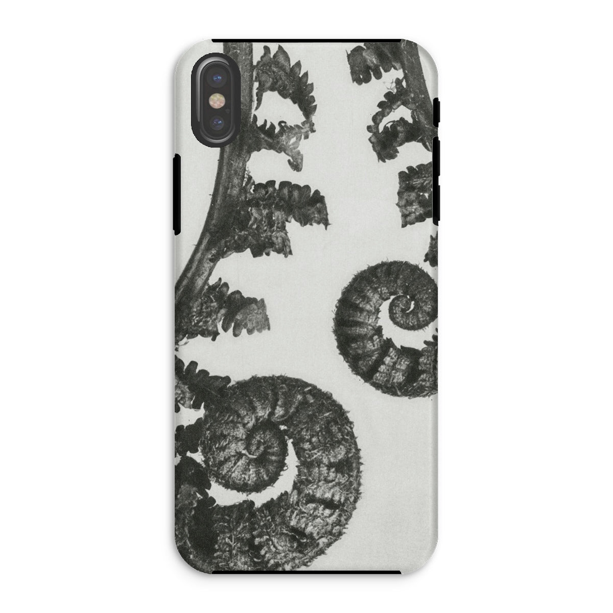 Aspidium Filix Mas (shield Fern Fronds) by Karl Blossfeldt Iphone Case, Xs / Matte, Fern-patterned Phone Case