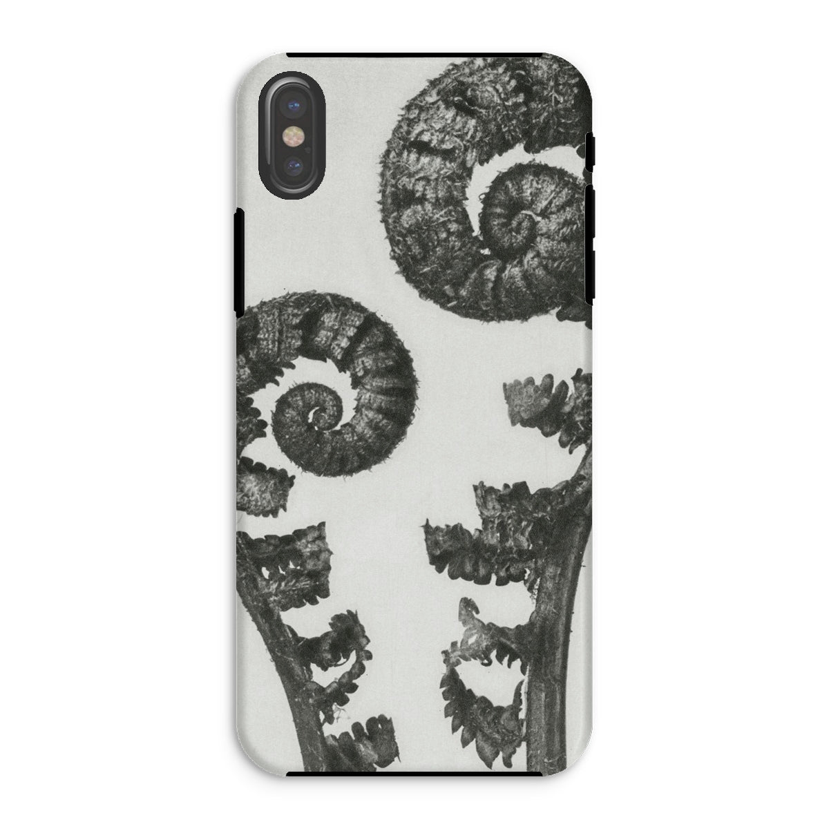 Aspidium Filix Mas (shield Fern Fronds) Karl Blossfeldt Iphone Case, Xs / Matte, Fern Frond Phone Case
