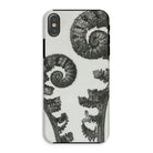 Aspidium Filix Mas (shield Fern Fronds) Karl Blossfeldt Iphone Case, Xs / Matte, Fern Frond Phone Case