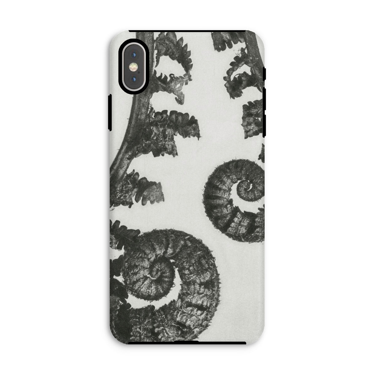 Aspidium Filix Mas (shield Fern Fronds) by Karl Blossfeldt Iphone Case, Xs Max / Matte, Fern-patterned Phone Case
