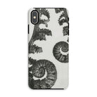 Aspidium Filix Mas (shield Fern Fronds) by Karl Blossfeldt Iphone Case, Xs Max / Matte, Fern-patterned Phone Case
