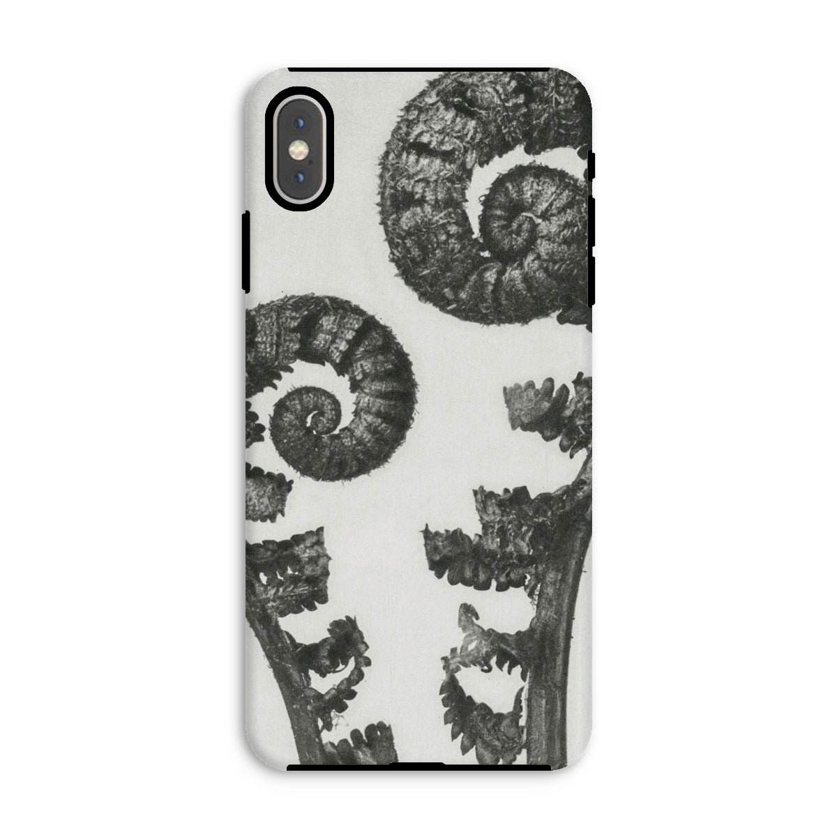 Aspidium Filix Mas (shield Fern Fronds) Karl Blossfeldt Iphone Case, Xs Max / Matte, Fern Patterned Phone Case