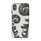Aspidium Filix Mas (shield Fern Fronds) Karl Blossfeldt Iphone Case, Xs Max / Matte, Fern Patterned Phone Case
