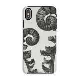 Aspidium Filix Mas (shield Fern Fronds) - Karl Blossfeldt Iphone Case, Xs Max / Matte, Fern-patterned Phone Case