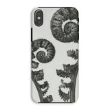 Aspidium Filix Mas (shield Fern Fronds) - Karl Blossfeldt Phone Case Iphone Xs / Matte Fern Frond Phone Case Karl Blossfeldt, Aspidium